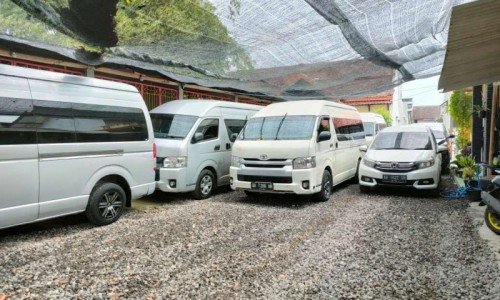 Alam Komodo Tour Travel