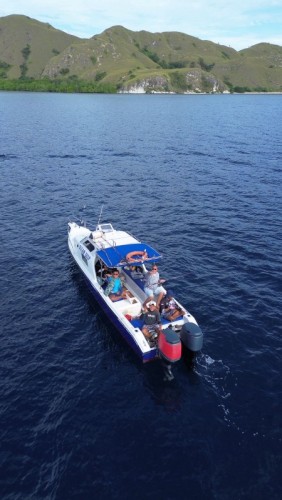 Alam Komodo Tour Travel